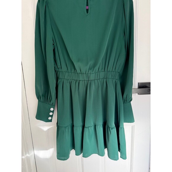 Green Ruffle Mini Dress - Picture 9 of 10
